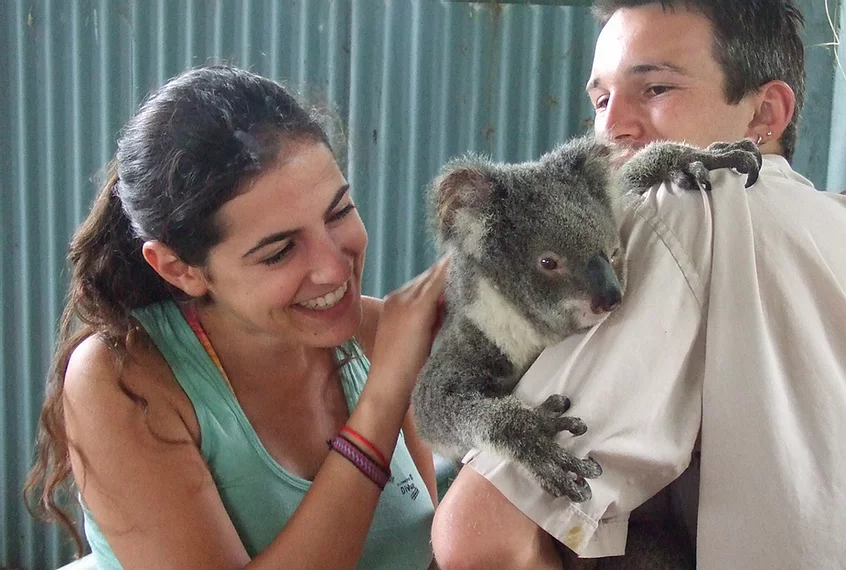 close animal interation image